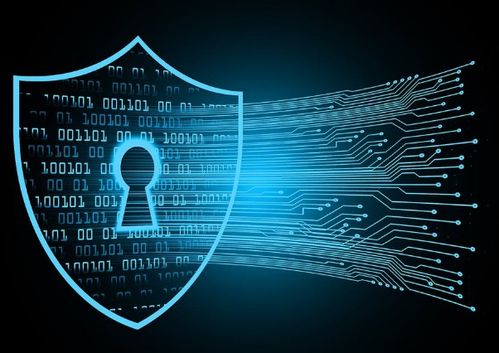 网络攻防中的“紧急制动” 服务器黑洞策略的触发机制与应对